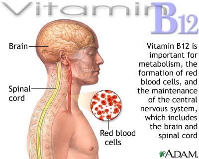 Vitamins_image011.jpg