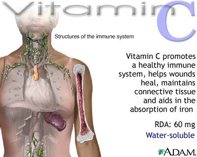 Vitamins_image013.jpg