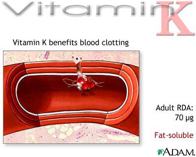 Vitamins_image019.jpg